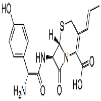 Cefprozil