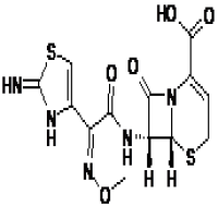 Ceftizoxime sodium sterile