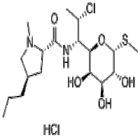 Clindamycin HCl