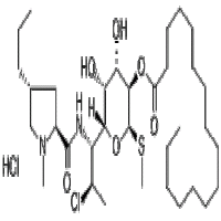 Clindamycin Palmitate HCl