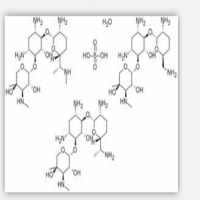 Gentamicin Sulphate