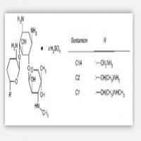 Gentamycin Sulfate