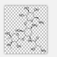 Isepamicin