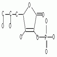 L-Ascorbate-2-Phosphate