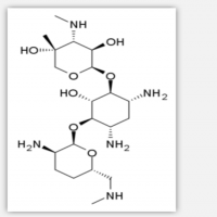 Micronomicin