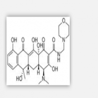 Morphocycline