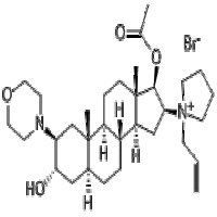 Rocuronium Bromide