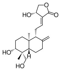 Andrographolide Andrographolide