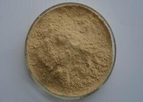 Arnica Extract Arnica Extract