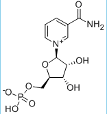 Beta-nicotinamide mononucleotide Beta-nicotinamide mononucleotide