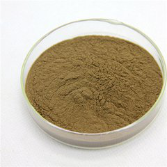 Black Ant Extract Black Ant Extract