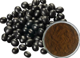 Black bean extract Black bean extract