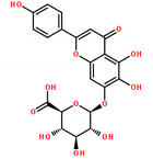Breviscapine Breviscapine