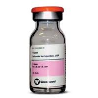 Cefazolin Cefazolin