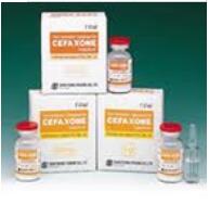 Ceftriaxone Sodium Ceftriaxone Sodium