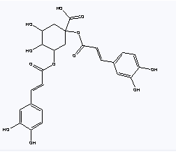 Cynarine Cynarine