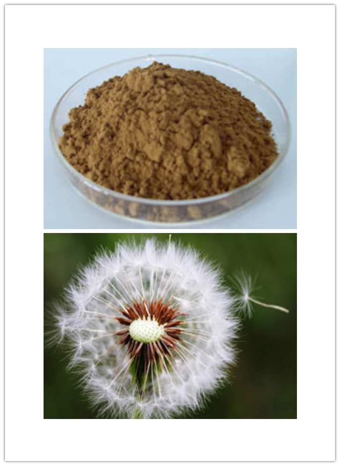 Dandelion flavonoids Dandelion flavonoids