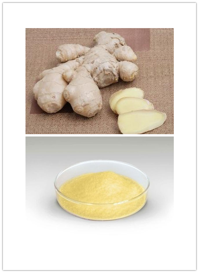 Ginger Root Extract Ginger Root Extract