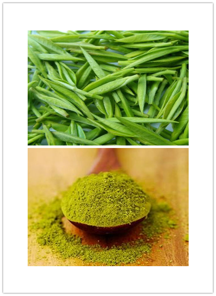 Green Tea Extract Green Tea Extract
