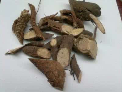 Indian Stringbush Root Extract Indian Stringbush Root Extract
