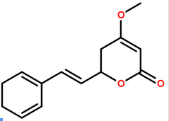 Kava Extract Kava Extract