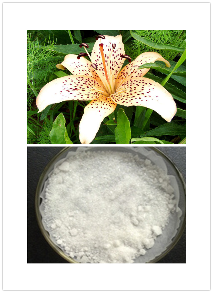 Lily bulb extract Lily bulb extract