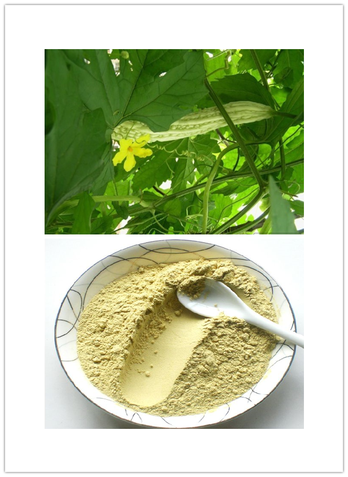 Momordica Charantia Linn Momordica Charantia Linn