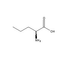 Norvaline Norvaline