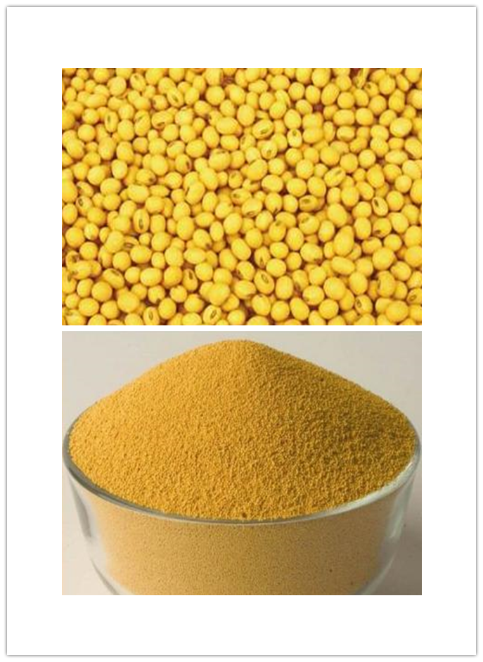 Phosphatidylserine Phosphatidylserine