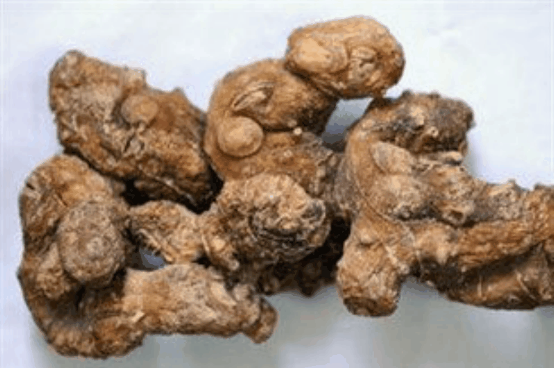 Rhizoma Polygonati Extract Rhizoma Polygonati Extract
