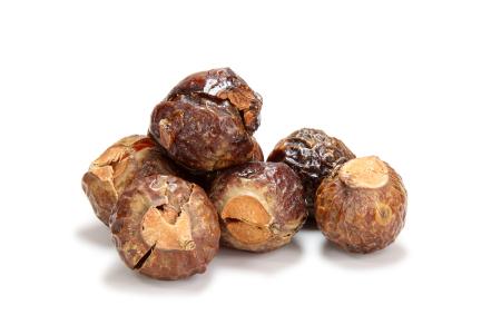 Soapnut Extract Soapnut Extract