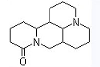 Sophoridine Sophoridine