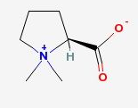 Stachydrine Stachydrine