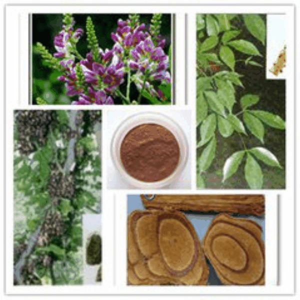 Suberect Spatholobus Stem Extact Suberect Spatholobus Stem Extact