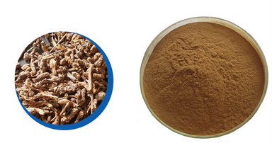 Swordlike Atractylodes Rhizome Extract Swordlike Atractylodes Rhizome Extract