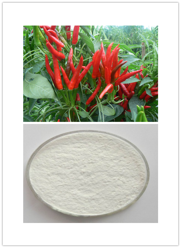 Synthetic Capsaicin Extract Synthetic Capsaicin Extract