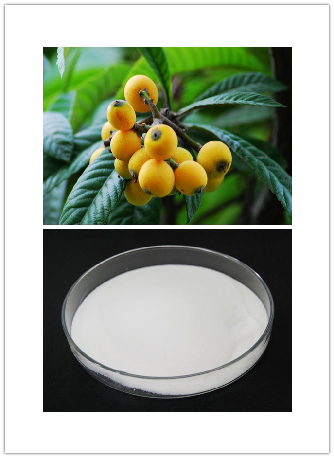 Ursolic acid Ursolic acid