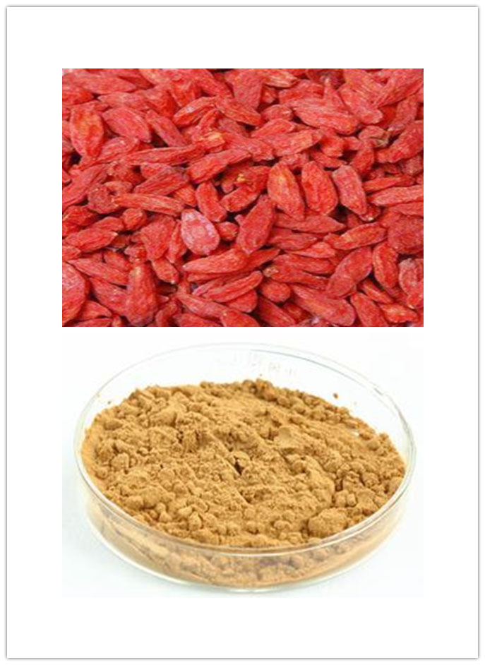 Wolfberry Extract Wolfberry Extract