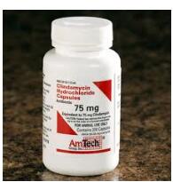Clindamycin Clindamycin