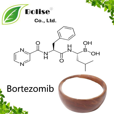 Bortezomib Bortezomib