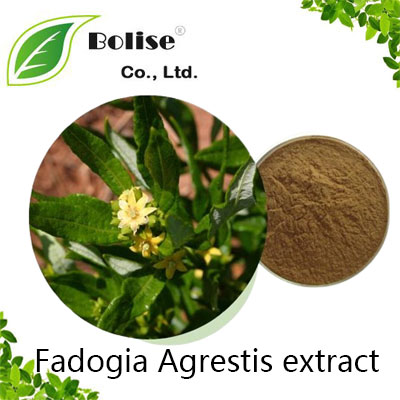 Fadogia Agrestis extract Fadogia Agrestis extract