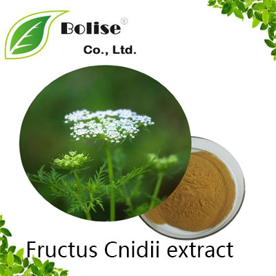 Fructus Cnidii extract Fructus Cnidii extract