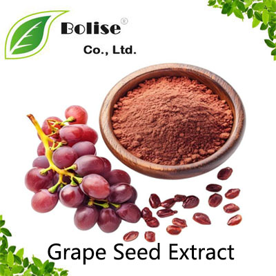 Grape Seed Extract Grape Seed Extract