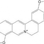 Coptisine