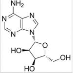 Adenine nucleotides