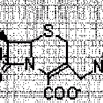 Cefoselis Sulfate