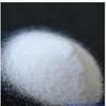 Chloramphenicol Succinate Sodium