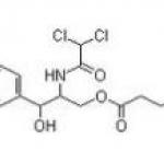 Chloramphenicol hemisuccinate