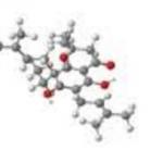 Clindalycin Palmitate Hydrochloride