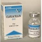 Cloxacillin